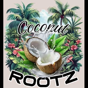 Coconut Rootz – Better Than This