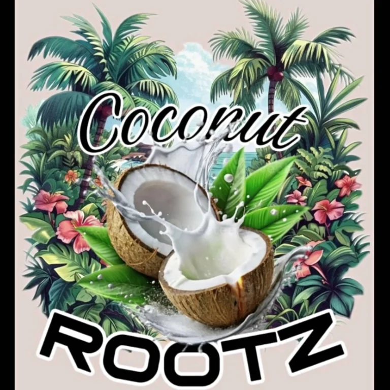 Coconut Rootz – Better Than This