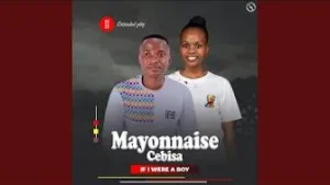 Mayonnaise Cebisa – ANGISAFUNI