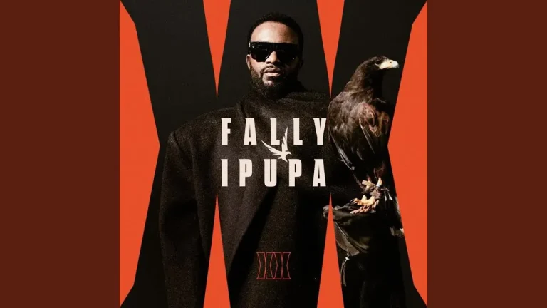 Fally Ipupa - Wanna Dance